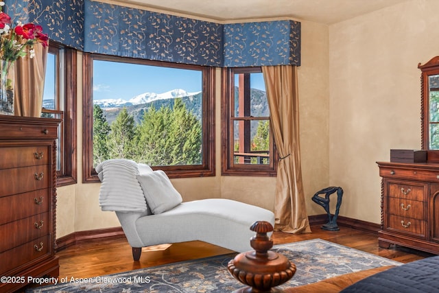 845 Hillcrest Dr, Basalt, CO 81621 - living area with wood finished floors, baseboards, and a mountain view