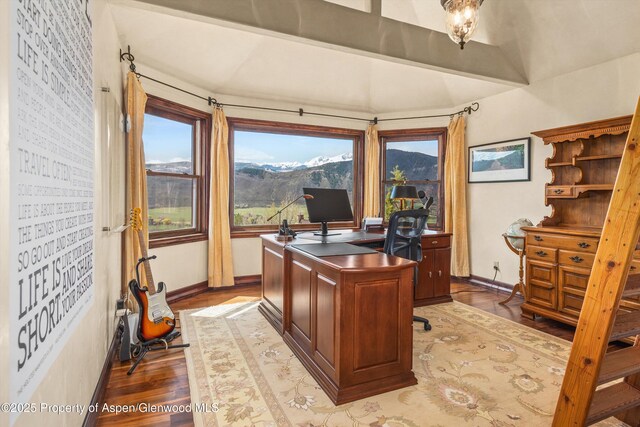 845 Hillcrest Dr, Basalt, CO 81621 - office with wood finished floors and baseboards