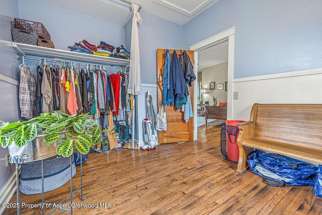 spacious closet featuring wood finished floors