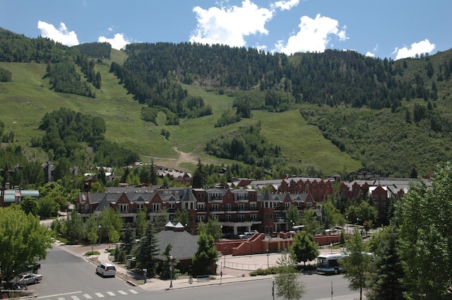 415 E Dean St Unit 10Weeks 51 52, Aspen, CO 81611 - photo 22