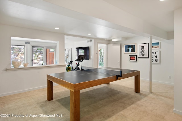 playroom with light colored carpet