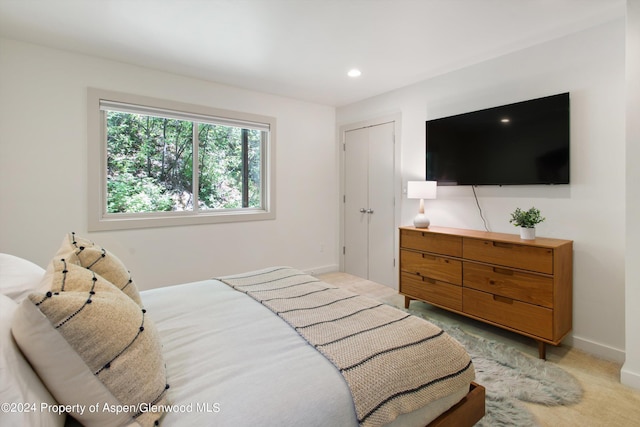 bedroom featuring light carpet and a closet