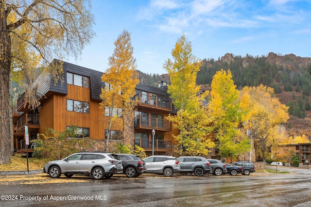 205 E Durant Ave Unit 1B, Aspen, CO 81611 - photo 13