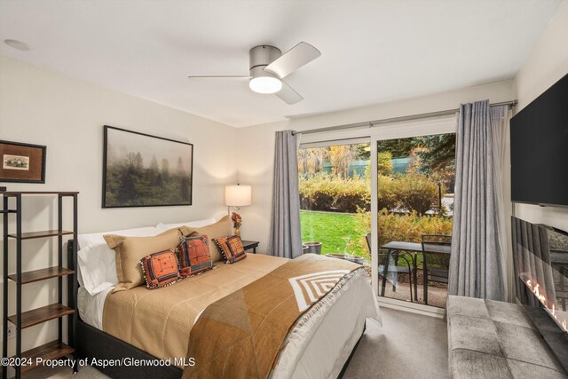 205 E Durant Ave Unit 1B, Aspen, CO 81611 - photo 7