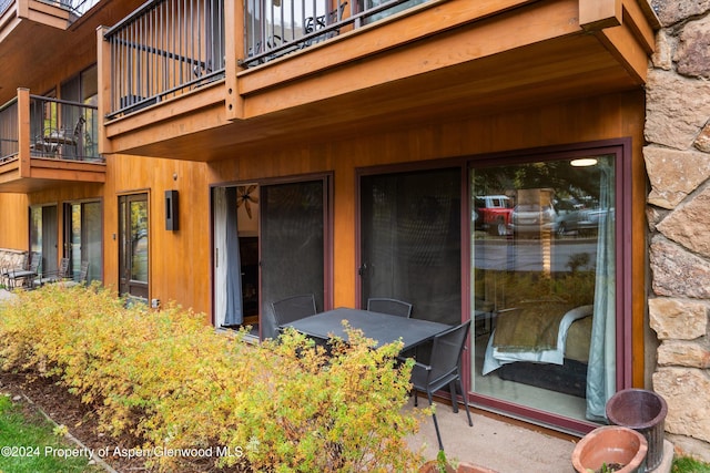 205 E Durant Ave Unit 1B, Aspen, CO 81611 - photo 12
