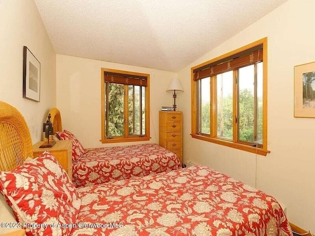 324 Twining Flats Rd, Woody Creek, CO 81656 - photo 10