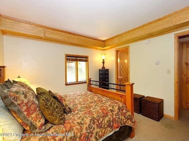 324 Twining Flats Rd, Woody Creek, CO 81656 - photo 19