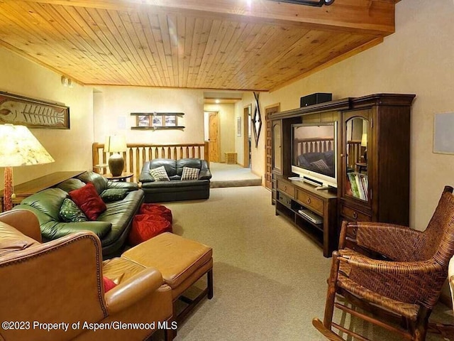324 Twining Flats Rd, Woody Creek, CO 81656 - photo 8