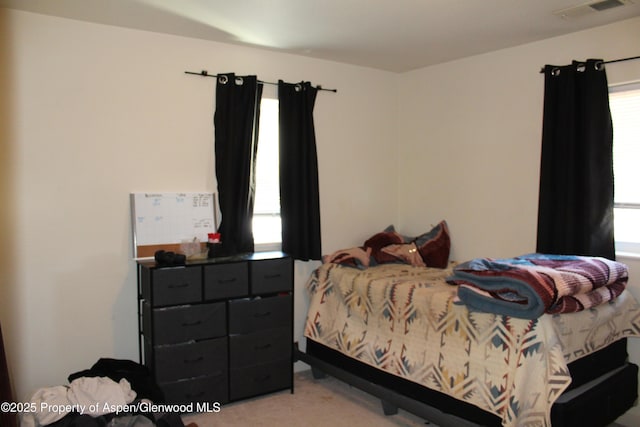 460 Yarrow Cir, Parachute, CO 81635 - bedroom featuring light carpet