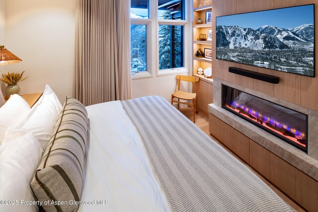 800 S Mill St Unit 201C, Aspen, CO 81611 - bedroom with a glass covered fireplace