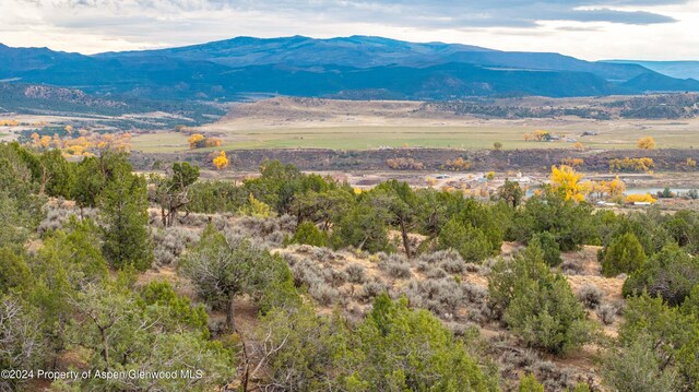 TBD50acre Tbd, Silt, CO 81652 - photo 5