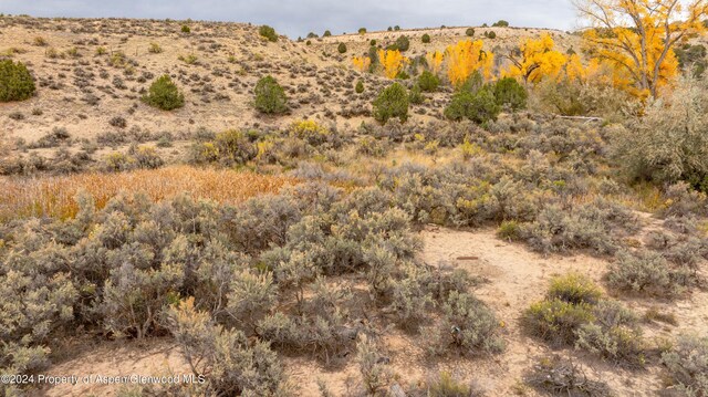 TBD50acre Tbd, Silt, CO 81652 - photo 15
