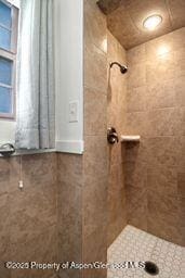 8984 County Road 300, Parachute, CO 81635 - full bath with tiled shower