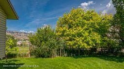 8984 County Road 300, Parachute, CO 81635 - view of green lawn
