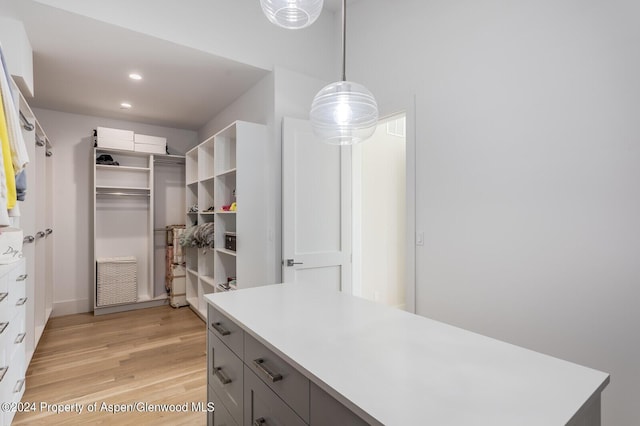 577 Fox Run Dr, Carbondale, CO 81623 - walk in closet with light wood finished floors