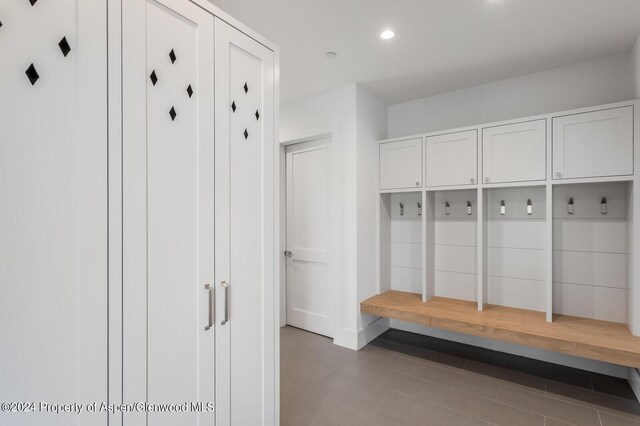 577 Fox Run Dr, Carbondale, CO 81623 - mudroom with recessed lighting