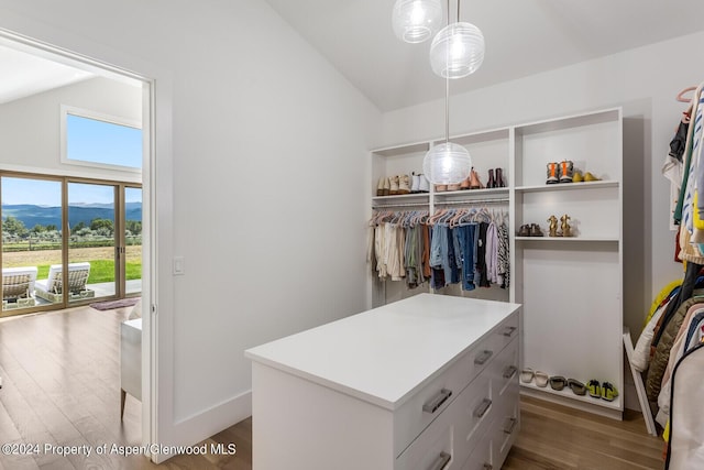 577 Fox Run Dr, Carbondale, CO 81623 - spacious closet featuring wood finished floors and high vaulted ceiling