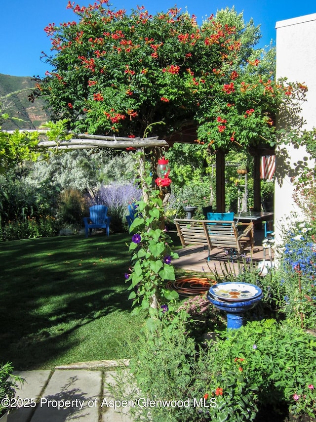 48 Creekside Ct, Glenwood Springs, CO 81601 - view of grassy yard
