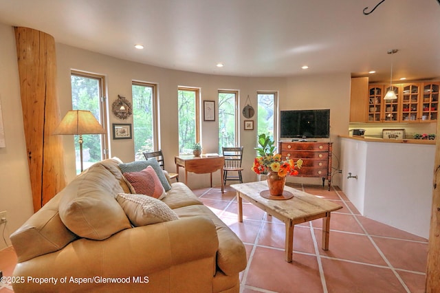 48 Creekside Ct, Glenwood Springs, CO 81601 - living room featuring recessed lighting