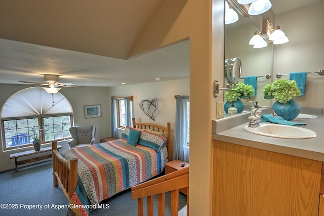 48 Creekside Ct, Glenwood Springs, CO 81601 - bedroom featuring a sink and carpet flooring