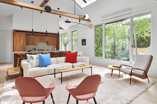 612 W Francis St, Aspen, CO 81611 - photo 4