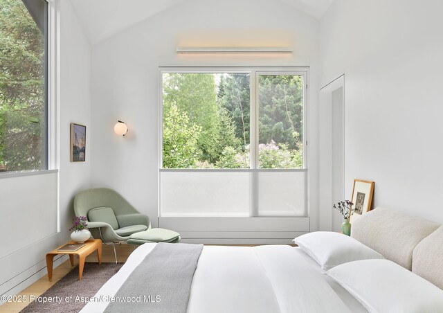 612 W Francis St, Aspen, CO 81611 - photo 12