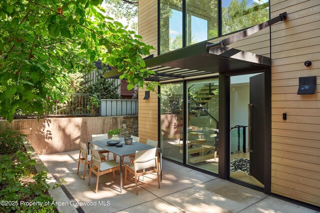 612 W Francis St, Aspen, CO 81611 - photo 28