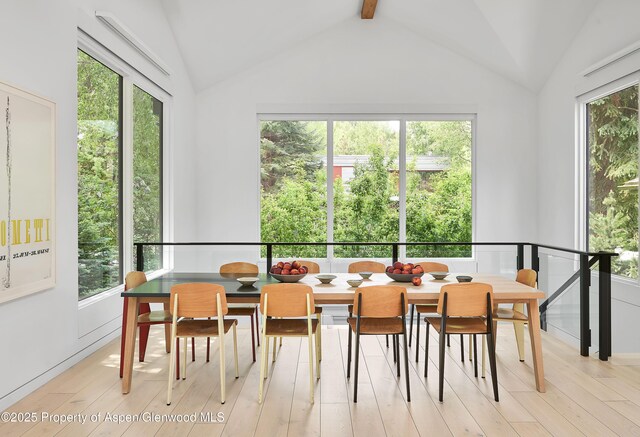 612 W Francis St, Aspen, CO 81611 - photo 10