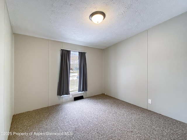 spare room with carpet and a textured ceiling