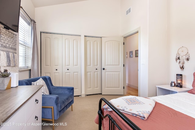 249 Whitehorse Dr, New Castle, CO 81647 - bedroom with multiple closets, light colored carpet, and a towering ceiling