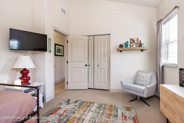 249 Whitehorse Dr, New Castle, CO 81647 - bedroom featuring carpet floors, a closet, baseboards, and a high ceiling