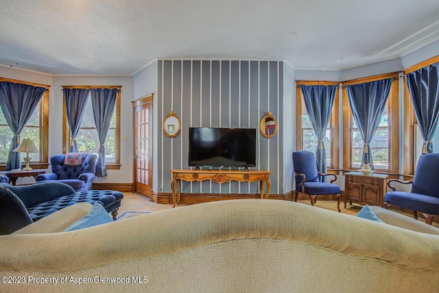 living room featuring a textured ceiling