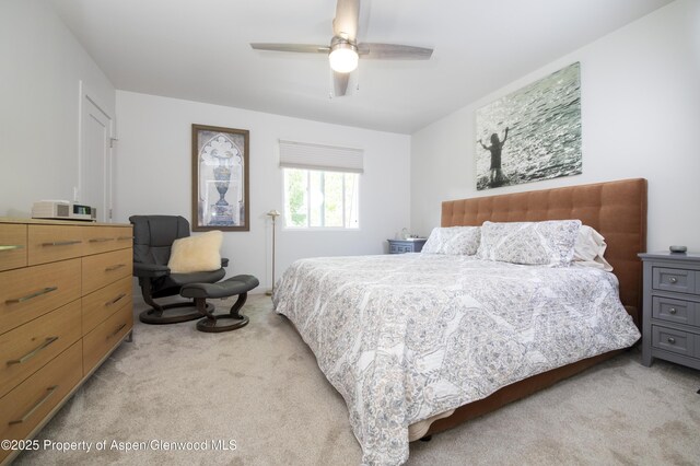331 Holland Hills Rd Unit 7, Basalt, CO 81621 - photo 14