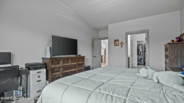 bedroom featuring a spacious closet