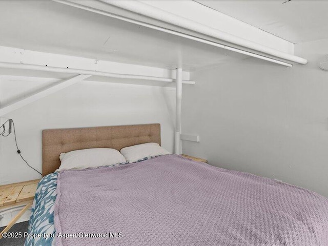 412 Mill St # B9, Aspen, CO 81611 - bedroom featuring carpet flooring