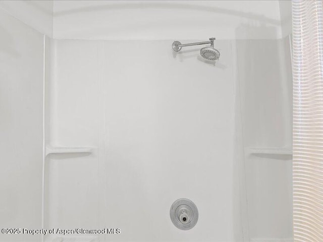 412 Mill St # B9, Aspen, CO 81611 - bathroom view of a shower
