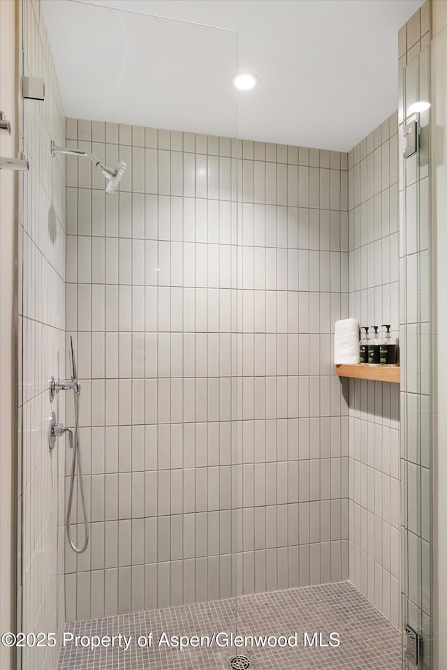 119 Wood Rd Unit 604, Snowmass Village, CO 81615 - bathroom with a shower stall and recessed lighting