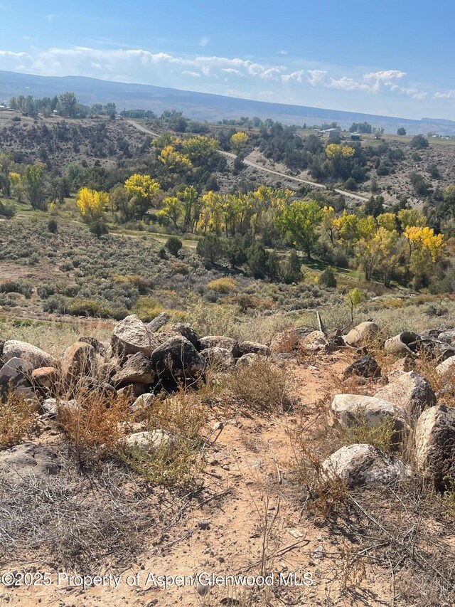 TBD 3300 Road, Hotchkiss, CO 81419 - photo 8