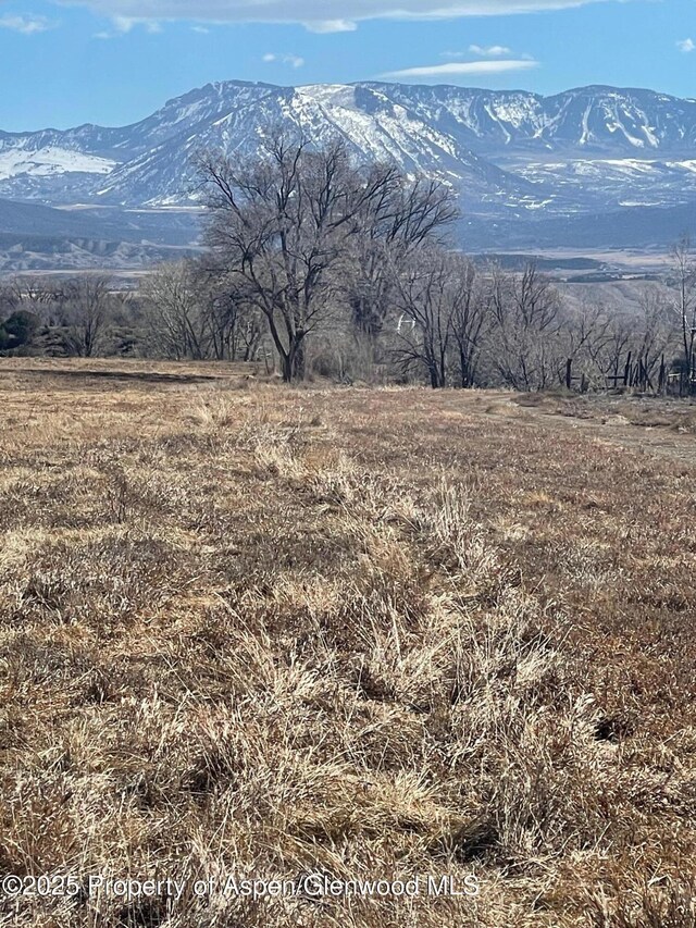 TBD 3300 Road, Hotchkiss, CO 81419 - photo 21