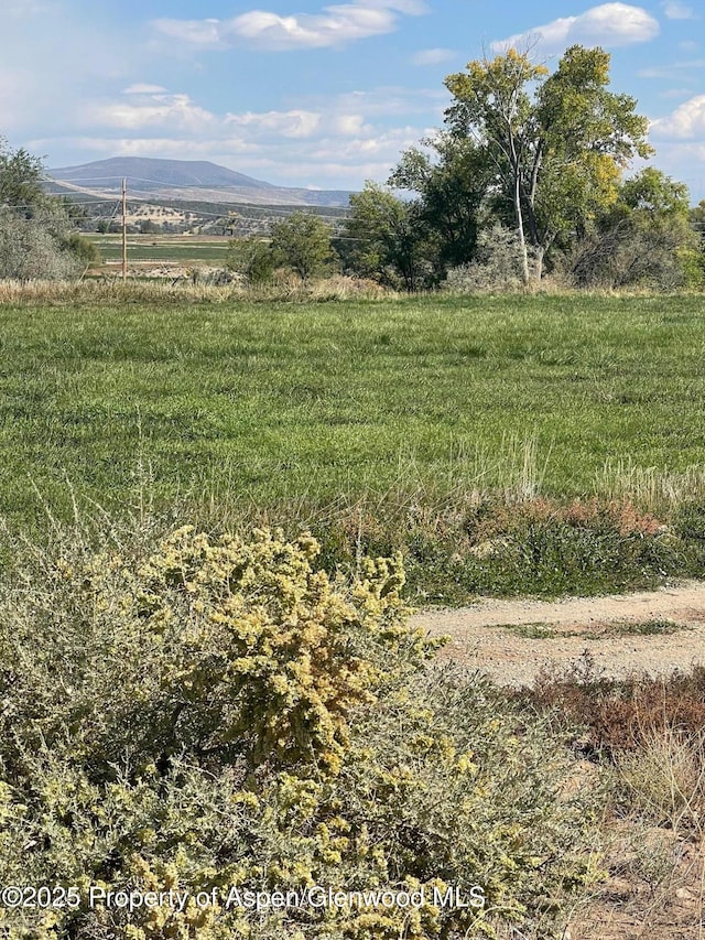 TBD 3300 Road, Hotchkiss, CO 81419 - photo 4