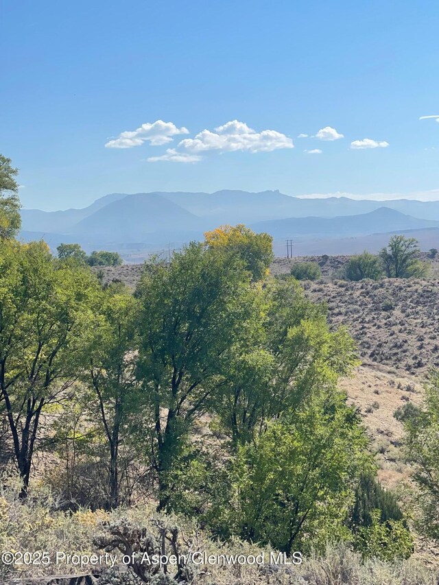 TBD 3300 Road, Hotchkiss, CO 81419 - photo 7