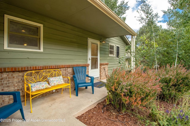 1124 Walz Ave, Glenwood Springs, CO 81601 - photo 3