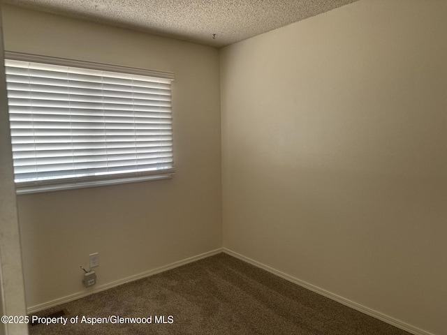 3865 W 6th St, Craig, CO 81625 - spare room featuring carpet flooring and a textured ceiling