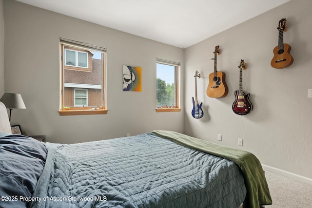 287 Southside Dr, Basalt, CO 81621 - bedroom featuring carpet and baseboards