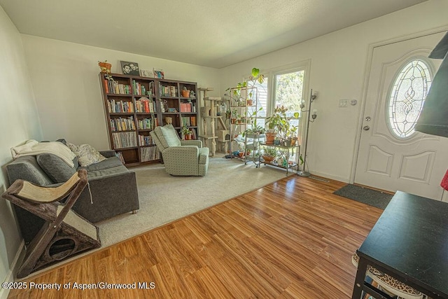 sitting room featuring wood finished floors