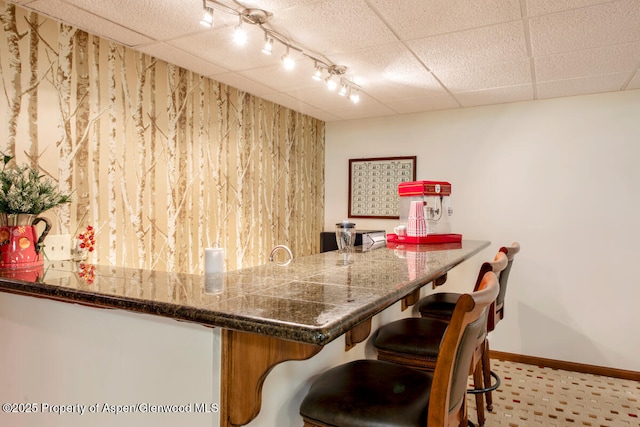368 Meadow Ln, Glenwood Springs, CO 81601 - bar with baseboards and a drop ceiling