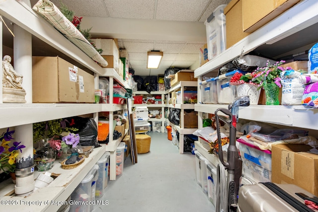 368 Meadow Ln, Glenwood Springs, CO 81601 - view of storage
