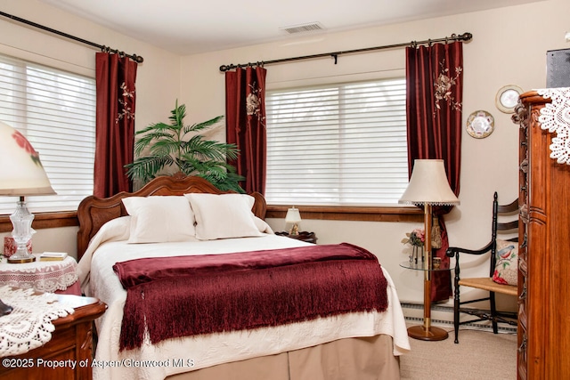 368 Meadow Ln, Glenwood Springs, CO 81601 - carpeted bedroom featuring multiple windows