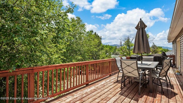 1432 Arabian Ave, Rifle, CO 81650 - photo 30