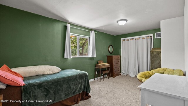 1432 Arabian Ave, Rifle, CO 81650 - photo 24